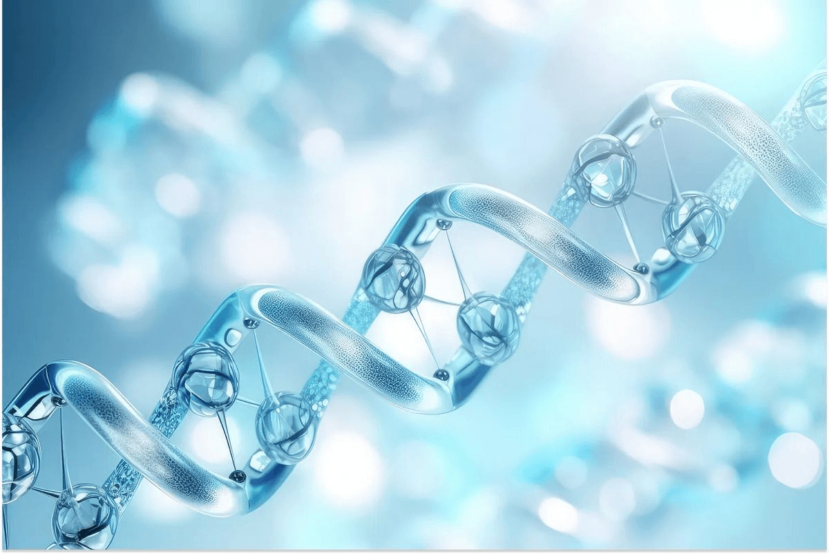 Precision Longevity & Cellular Reset