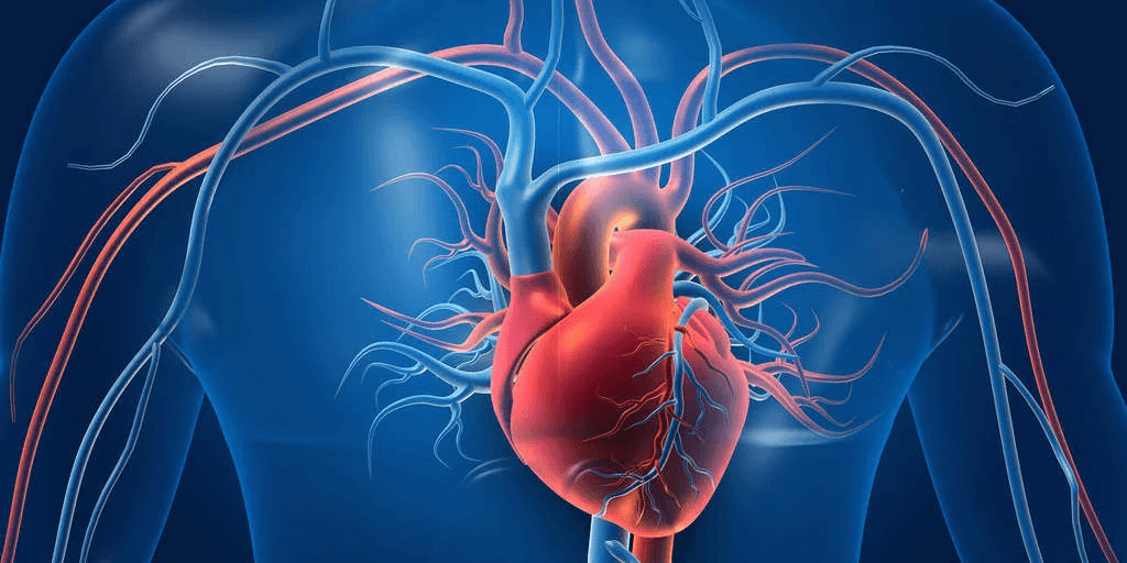 Metabolic Health Optimisation